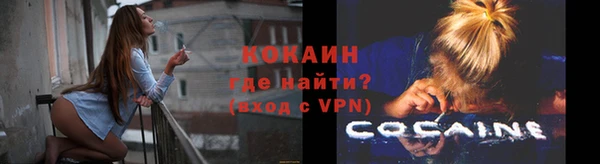 дживик Алексин