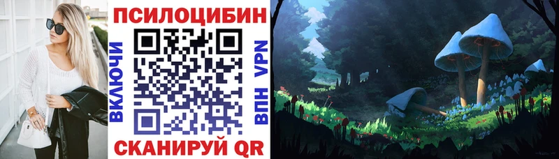 Псилоцибиновые грибы GOLDEN TEACHER  darknet наркотические препараты  Куртамыш 